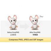 PNG Compression and Image Optimization